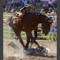 Technological Evolution in Sports Photography