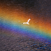 Conversations from the Eddie Adams Workshop: To Serve and to Soar with John H. White and Endia Beal