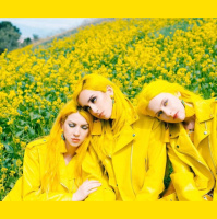 The Many Lives of Color