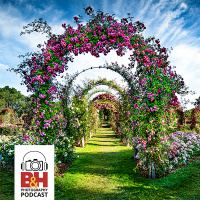 Passing the Podcast Keys with Derek Fahsbender and Allan Weitz