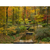 Garden Photography with Larry Lederman