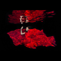 Take the Plunge—Underwater Wedding, Portrait and Art Photography