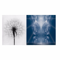 Landscape Masters: Michael Kenna and Paul  John Paul Caponigro