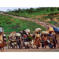 The Prize—Two Photojournalists Reflect on Winning a Pulitzer