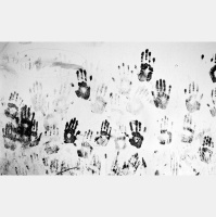 Greg Constantine—The Story Demands More