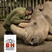 Ami Vitale and the Prints for Nature Sale