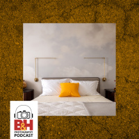 Larger than Life: Julia Blaukopf’s Custom Photographic Wall Decor