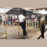 Spring Cleaning and Episode 2 of “Dispatch,” with Adriane Ohanesian