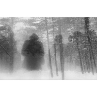 The Book Exists—Joan Liftin, Minor Matters Books, and “The Unconcerned Photographer”