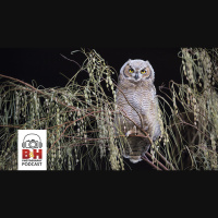 2020 OPTIC Conference Preview, with Lisa Langell and Pete McBride