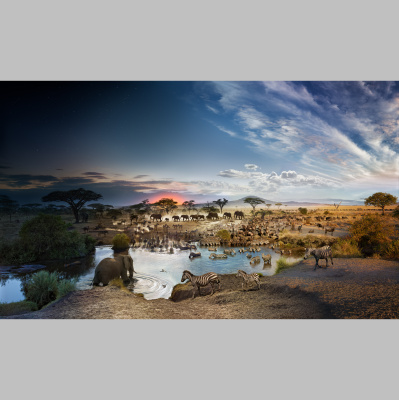 Bh Photography Podcast