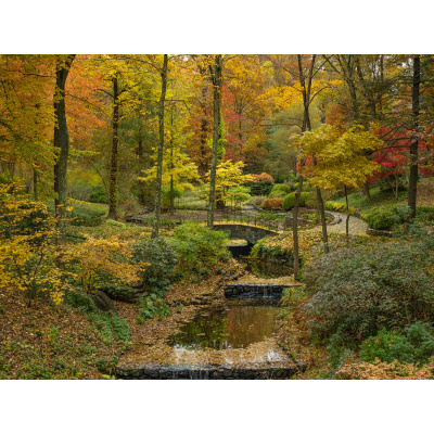 Bh Photography Podcast