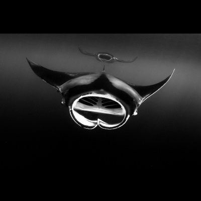 Bh Photography Podcast