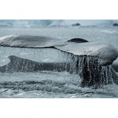 Bh Photography Podcast