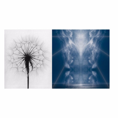 Bh Photography Podcast