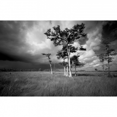 Bh Photography Podcast