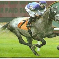 On the Air with Owning Racehorses