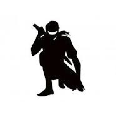 Ninjutsu Training Online