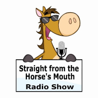 SFHM -005- Ingrid Kostron Equi-Art