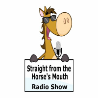 SFHM - 019 Equi Tailor Togz Colleen Rolland