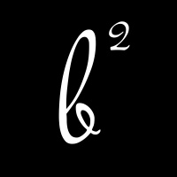 #1.1 Appendix I: Brazils Democracy of Coalition