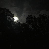 #6 506 S. Woodbury Road Backyard, Pitman NJ | September 17th, 2016