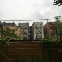 #12 183 Chauncey Street Backyard Rainstorm | March 13th, 2017