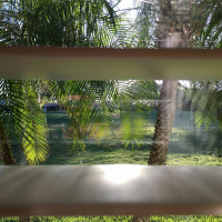 #10 Golf Course, Palm Harbor FL | March 11th, 2017