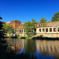 End of Summer Update