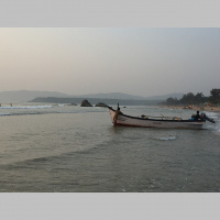 Upcycling and Saving Wildlife in Goa