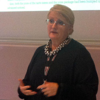 Fajkon: Brit Stakston - Fejk-pr och journalisters roll