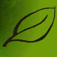 SpringBranchTV - Healing At Bethesda