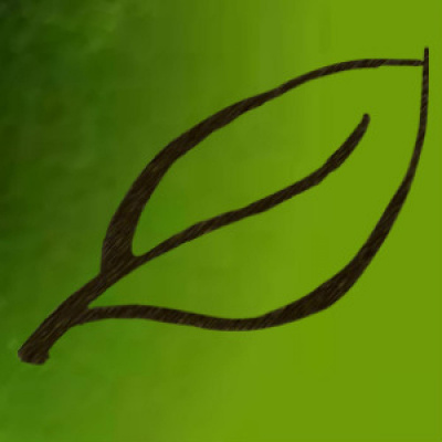 Spring Branch Podcast