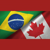 Real Brazilian Conversations #80: COVID-19, Diferenças Culturais, Canadá.