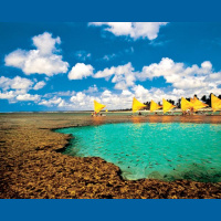 Real Brazilian Conversations #65: Porto de Galinhas