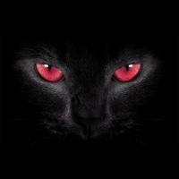 Weekly Expressions #57 – Chorar as pitangas