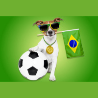 Real Brazilian Conversations #90: Animais de Estimação (Pets)