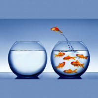 Real Brazilian Conversations #49: 2017/2018