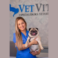 Real Brazilian Conversations #Special – Paws  Tails: Uncovering Pet Care Tips and Brazil’s Favorite Pets