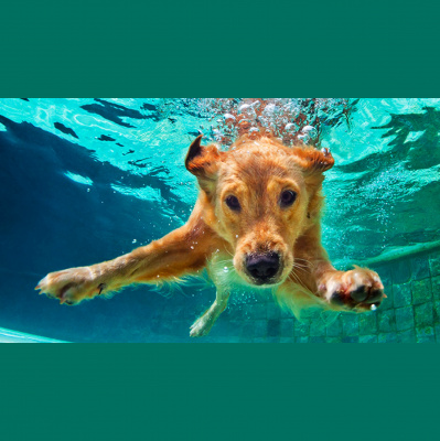 Brazilian Portuguese Podcast, By Rlp