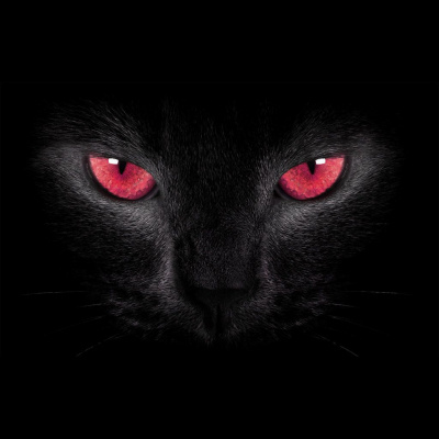 Brazilian Portuguese Podcast, By Rlp