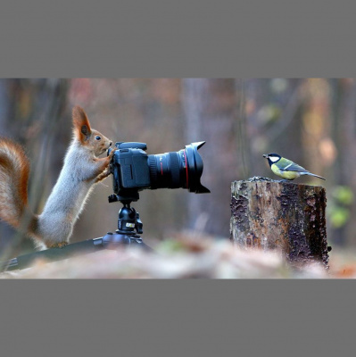 Brazilian Portuguese Podcast, By Rlp