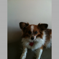 Farewell to Dr. Cal Lightman