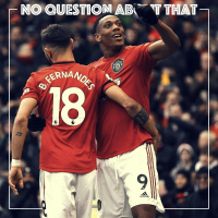 Portuguese Magnifico