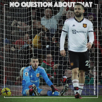 Seven Shades of Shit