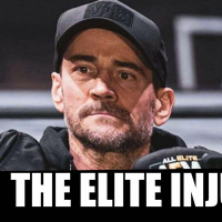 CM PUNKS Dogg Attacked and Injured by THE ELITE ?