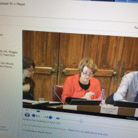 Government is naive in using the word accessible