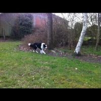 Dat is nog lastig kiezen: wordt het Audioboo of toch cinchcast? Wat bevalt jullie het beste?