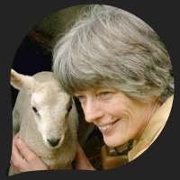 Rosamund Young On The Wisdom Of Sheep  Other Animals