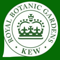 5x15 On Health And Nature With Royal Botanic Gardens, Kew